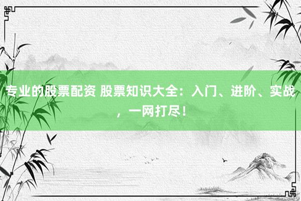 专业的股票配资 股票知识大全：入门、进阶、实战，一网打尽！