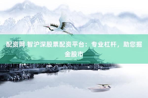 配资网 智沪深股票配资平台：专业杠杆，助您掘金股市