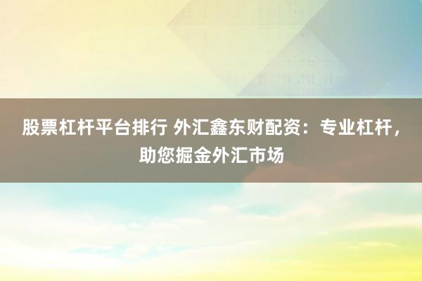 股票杠杆平台排行 外汇鑫东财配资：专业杠杆，助您掘金外汇市场