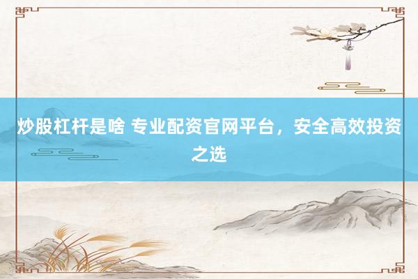 炒股杠杆是啥 专业配资官网平台，安全高效投资之选