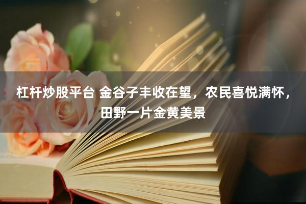 杠杆炒股平台 金谷子丰收在望，农民喜悦满怀，田野一片金黄美景