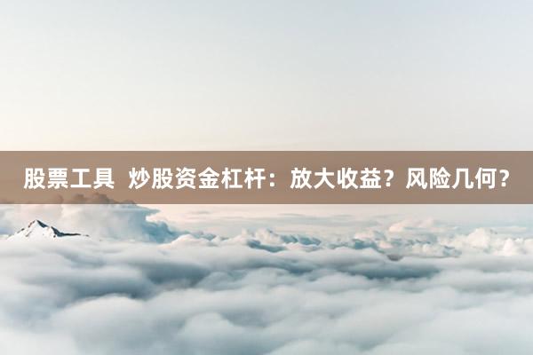 股票工具  炒股资金杠杆：放大收益？风险几何？