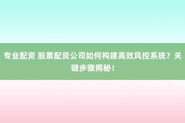 专业配资 股票配资公司如何构建高效风控系统？关键步骤揭秘！