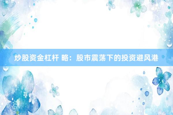 炒股资金杠杆 略：股市震荡下的投资避风港