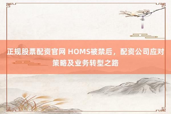 正规股票配资官网 HOMS被禁后,配资公司应对策略及业务转型之路