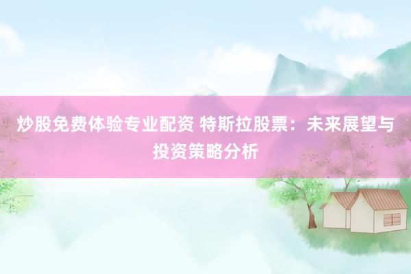 炒股免费体验专业配资 特斯拉股票：未来展望与投资策略分析