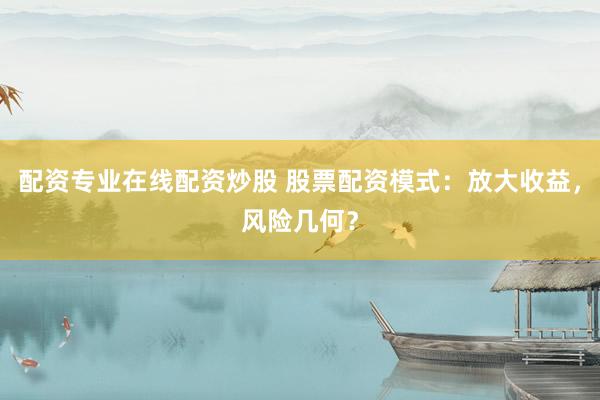 配资专业在线配资炒股 股票配资模式:放大收益,风险几何?