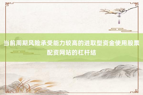 当前周期风险承受能力较高的进取型资金使用股票配资网站的杠杆结