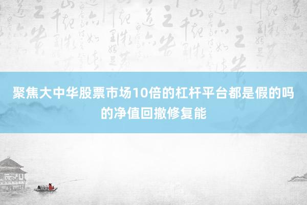 聚焦大中华股票市场10倍的杠杆平台都是假的吗的净值回撤修复能