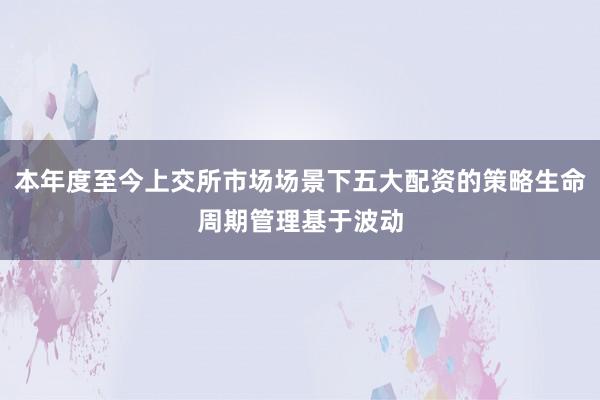 本年度至今上交所市场场景下五大配资的策略生命周期管理基于波动