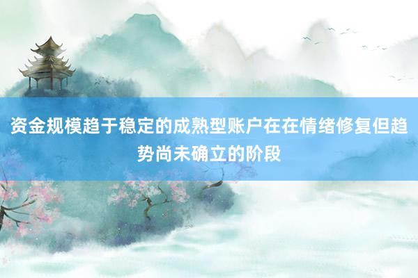 资金规模趋于稳定的成熟型账户在在情绪修复但趋势尚未确立的阶段