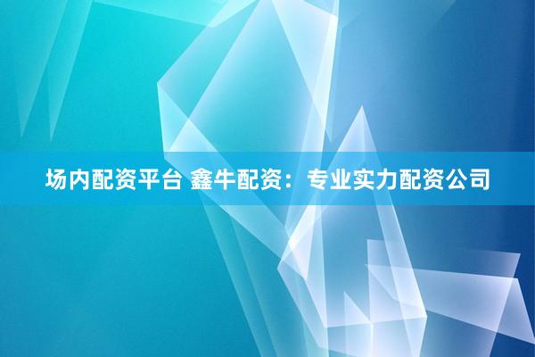 场内配资平台 鑫牛配资：专业实力配资公司