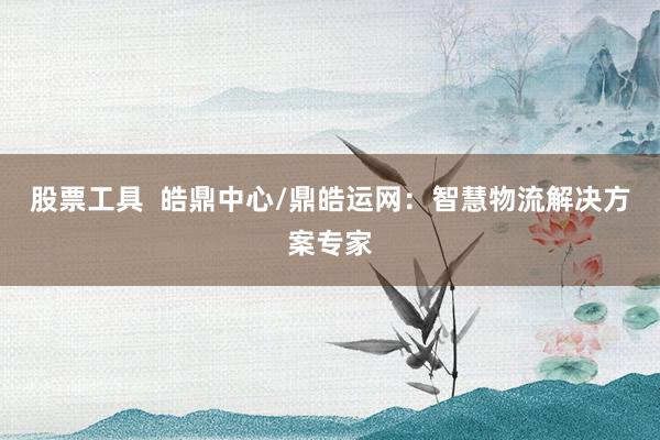 股票工具  皓鼎中心/鼎皓运网：智慧物流解决方案专家